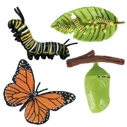 Lebenszyklus -Figuren - Insektenlebenszyklus -Figuren | Geschmackslosen Lebenszyklus -Figuren, Motte, Schmetterling, Schildkröte, Arbeiter Ant, Frosch -PP -Insekten -Figuren Spielzeugkit Zur Verbesser von Generisch