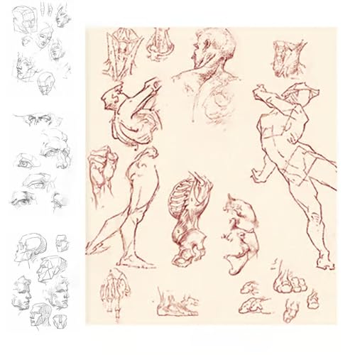 Lehrbuch für Figuren, Zeichnen, Anatomie, Zeichenbuch, Kunstfiguren und Posen, Zeichenkurs mit Bleistift, Skizzenzeichnung, illustrierte Bücher für Anfänger (Vol.1 (Arme und Haltung)) von Generisch