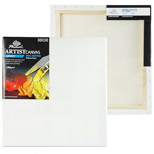 Leinwand Premium – Malerleinwand auf Keilrahmen 380g/m² Baumwolle, 3-fach grundiert, stabiler Holzrahmen 17x38 mm, nachspannbar mit Keilen, für Öl- & Acrylfarben (30 x 30 cm) von Generisch