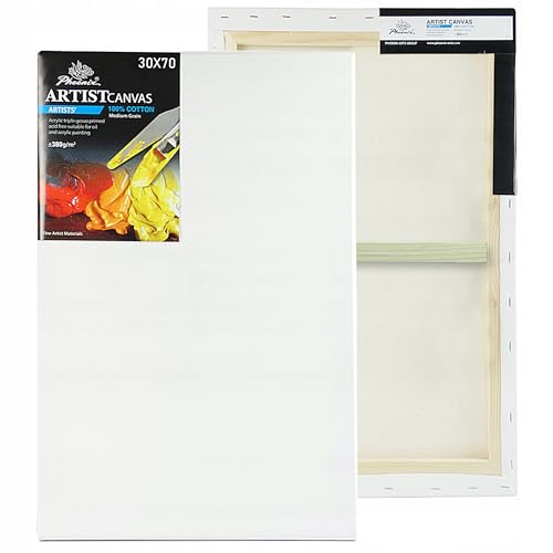 Leinwand Premium – Malerleinwand auf Keilrahmen 380g/m² Baumwolle, 3-fach grundiert, stabiler Holzrahmen 17x38 mm, nachspannbar mit Keilen, für Öl- & Acrylfarben (30 x 70 cm) von Generisch