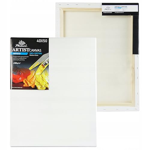 Leinwand Premium – Malerleinwand auf Keilrahmen 380g/m² Baumwolle, 3-fach grundiert, stabiler Holzrahmen 17x38 mm, nachspannbar mit Keilen, für Öl- & Acrylfarben (40 x 50 cm) von Generisch