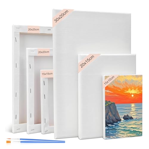 Leinwand Set, 6 Stück Leinwände zum Bemalen, Bilderrahmen Rahmen Keilrahmen Weiß, Leinwand Malen Canvas Künstlertafelbilder für Ölgemälde Acryl Skizzieren Zeichnen Leinwandpaneele für Bastler,Künstler von Generisch