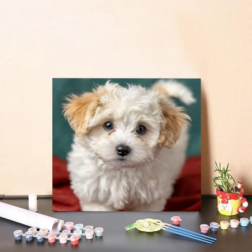Malen Nach Zahlen Erwachsene Hund Malen Nach Zahlen Tier Paint by Numbers Adults DIY Set Erwachsene, Handgemalt Leinwand ölgemälde Kunst mit Zubehör für Home Haus Deko 50x50cm Ohne Rahmen H-8681 Malen Nach Zahlen Erwachsene Hund Malen Nach Zahlen Tier Paint by Numbers Adults DIY Set Erwachsene, Handgemalt Leinwand ölgemälde Kunst mit Zubehör für Home Haus Deko 50x50cm Ohne Rahmen H-8681 von Generisch