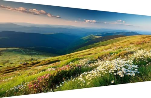 Malen Nach Zahlen Kinder Blume Malen Nach Zahlen für Erwachsene Anlage Paint by Number Adult, DIY Handgemalt Leinwand ölgemälde Hobby Erwachsene Set mit Zubehör, Geschenke 30x60cm Mit Rahmen H-D358 Malen Nach Zahlen Kinder Blume Malen Nach Zahlen für Erwachsene Anlage Paint by Number Adult, DIY Handgemalt Leinwand ölgemälde Hobby Erwachsene Set mit Zubehör, Geschenke 30x60cm Mit Rahmen H-D358 von Generisch