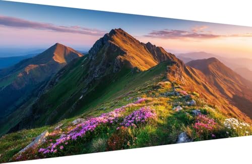 Malen Nach Zahlen Kinder Blume Malen Nach Zahlen für Erwachsene Berg Paint by Number Adult, DIY Handgemalt Leinwand ölgemälde Hobby Erwachsene Set mit Zubehör, Geschenke 60x120cm Mit Rahmen P-MA67 von Generisch