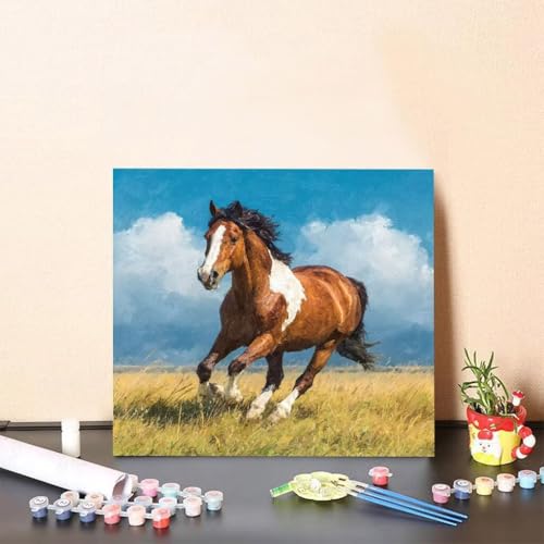 Malen Nach Zahlen Kinder Horse DIY Malen Nach Zahlen Tier Kreatives für Erwachsene Kunst Paint by Number Adult, DIY Handgemalt Leinwand ölgemälde mit Zubehör, Geschenke 80x80cm Ohne Rahmen U-192A von Generisch