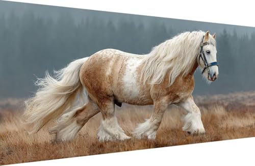 Malen Nach Zahlen Kinder Horse Malen Nach Zahlen für Erwachsene Tier Paint by Number Adult, DIY Handgemalt Leinwand ölgemälde Hobby Erwachsene Set mit Zubehör, Geschenke 50x100cm Mit Rahmen E-Q434 Malen Nach Zahlen Kinder Horse Malen Nach Zahlen für Erwachsene Tier Paint by Number Adult, DIY Handgemalt Leinwand ölgemälde Hobby Erwachsene Set mit Zubehör, Geschenke 50x100cm Mit Rahmen E-Q434 von Generisch