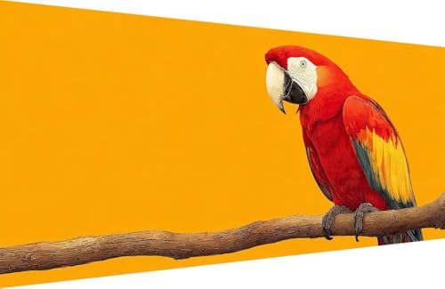 Malen Nach Zahlen Kinder Papagei Malen Nach Zahlen für Erwachsene Tier Paint by Number Adult, DIY Handgemalt Leinwand ölgemälde Hobby Erwachsene Set mit Zubehör, Geschenke 40x80cm Mit Rahmen Z-5226 von Generisch