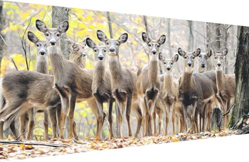 Malen Nach Zahlen Kinder Tier Malen Nach Zahlen für Erwachsene Reh Paint by Number Adult, Retro DIY Handgemalt Leinwand ölgemälde Hobby Erwachsene Set mit Zubehör, Geschenke 40x80cm Mit Rahmen D-3258 von Generisch