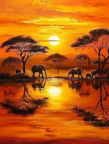 Malen Nach Zahlen Tier Malen Nach Zahlen Erwachsene set Sonnenuntergang Basteln Erwachsene Paint by Numbers DIY Leinwand ölgemälde Mit Pinseln und Acrylfarbe für Home Decor 40x50cm Mit Rahmen 9-6E94 Malen Nach Zahlen Tier Malen Nach Zahlen Erwachsene set Sonnenuntergang Basteln Erwachsene Paint by Numbers DIY Leinwand ölgemälde Mit Pinseln und Acrylfarbe für Home Decor 40x50cm Mit Rahmen 9-6E94 von Generisch