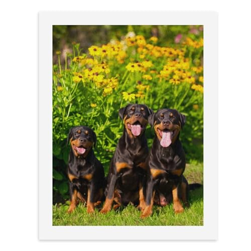 Malen nach Zahlen, Drei entzückende Rottweiler, die vor lebendigen gelben Blumen sitzen, digitale Malerei, Kunstwerk für Erwachsene, Kunstwerk, Wanddekoration, einzigartiger moderner abstrakter Druck von Generisch