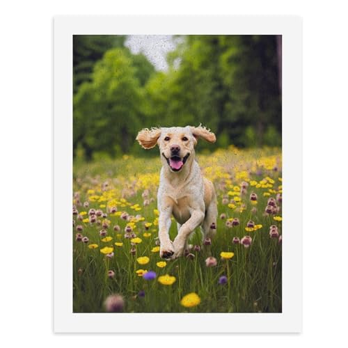 Malen nach Zahlen, Ein glücklicher Golden Retriever, der in einem Feld gelber Blumen läuft, digitales Gemälde für Erwachsene, Kunstwerk für Wanddekoration, einzigartiger moderner abstrakter Druck von Generisch