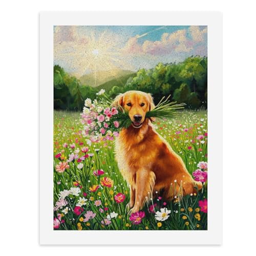 Malen nach Zahlen, ein Golden Retriever, der in einem Feld bunter Blumen sitzt, digitales Gemälde für Erwachsene, Kunstwerk für Wanddekoration, einzigartiger moderner abstrakter Druck, ungerahmt 40 x von Generisch