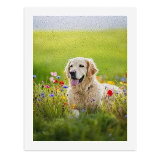Malen nach Zahlen, ein glücklicher Golden Retriever in einem Feld bunter Blumen, digitales Gemälde für Erwachsene, Kunstwerk für Wanddekoration, einzigartiger moderner abstrakter Druck, ungerahmt 40 x von Generisch