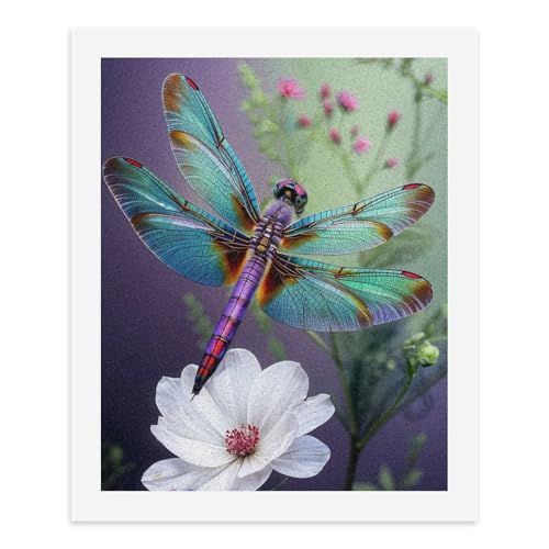 Malen nach Zahlen Eine bunte Libelle sitzt auf einer weißen Blume. Digitales Malset für Erwachsene, 40 x 50 cm Malen nach Zahlen Eine bunte Libelle sitzt auf einer weißen Blume. Digitales Malset für Erwachsene, 40 x 50 cm von Generisch