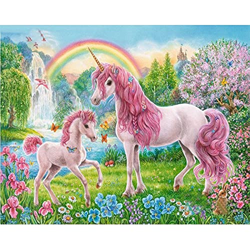 Malen nach Zahlen Erwachsene Einhorn 40x50 cm Paint by Numbers DIY Öl Acryl Leinwand Bild Dekoration Unicorn Rainbow ohne Rahmen 1 Stück von MT Majami