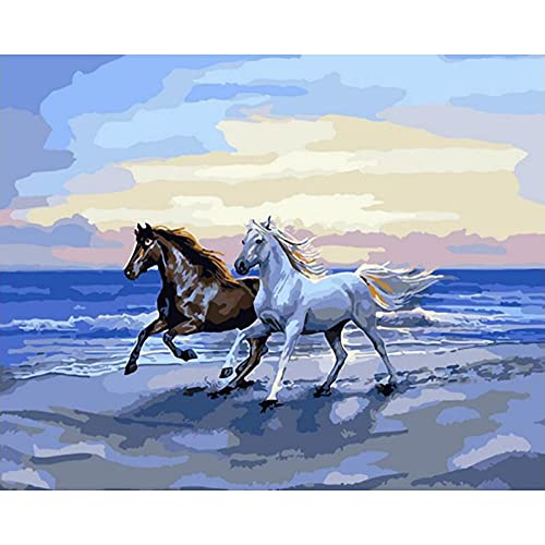 Malen nach Zahlen Erwachsene Pferde am Strand 40x50 cm Paint by Numbers DIY Öl Acryl Leinwand Bild Dekoration Horses Beach ohne Rahmen 1 Stück von MT Majami