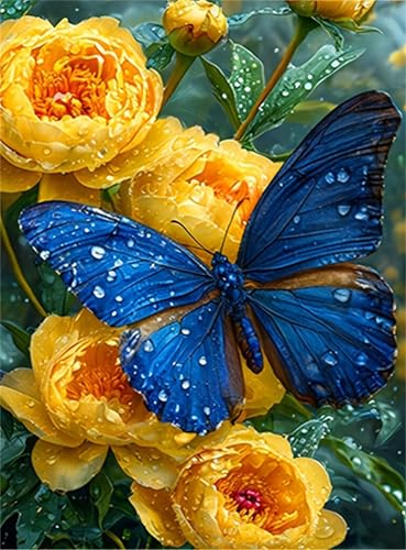 Malen nach Zahlen für Erwachsene, Malen nach Zahlen, Leinwand, einfaches fröhliches Malen für Anfänger, Geschenke, Wanddekoration (Schmetterling) von Generisch