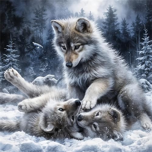 Malen nach Zahlen für Erwachsene, Malen nach Zahlen, Leinwand, einfaches fröhliches Malen für Anfänger, Geschenke, Wanddekoration (Wolf) von Generisch
