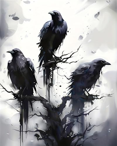 Malen nach Zahlen für Erwachsene, Malen nach Zahlen, Leinwand, einfaches fröhliches Malen für Anfänger, Wanddekoration für Zuhause (Vogel) von Generisch