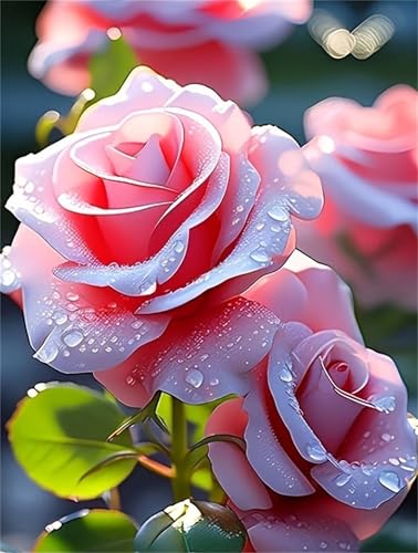 Malen nach Zahlen für Erwachsene, Malen nach Zahlen, Leinwand, zum Selbermachen, einfaches fröhliches Malen für Anfänger, Geschenke, Wanddekoration (Rose) von Generisch