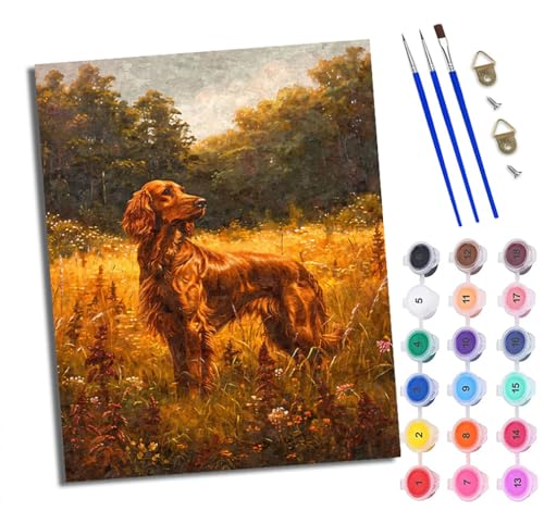 Malen nach Zahlen für Erwachsene, Malen-nach-Zahlen-Set, irischer Setter mit Acrylfarben, vorgedruckte Leinwand und Pinsel, Geschenk, Wanddekoration, 40,6 x 50,8 cm, ohne Rahmen von Generisch