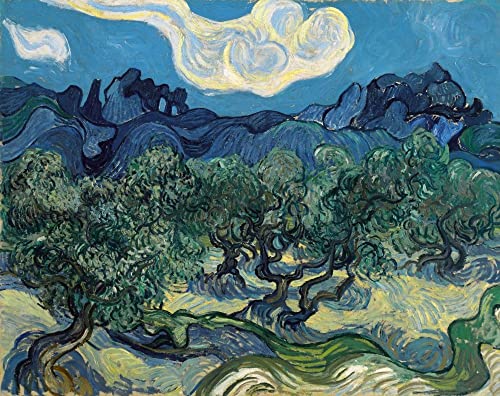 Malen nach Zahlen für Erwachsene, Olivenbäume von Vincent Van Gogh, Malset für Erwachsene, Leinwand, Geschenke, Kunsthandwerk für Heimdekoration Malen nach Zahlen für Erwachsene, Olivenbäume von Vincent Van Gogh, Malset für Erwachsene, Leinwand, Geschenke, Kunsthandwerk für Heimdekoration von Generisch