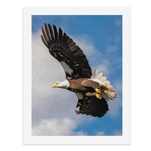 Malen nach Zahlen: Ein majestätischer Adler schwebt anmutig vor einem Hintergrund des blauen Himmels, digitales Malset für Erwachsene, erstellen Sie Ihre eigene magische Szene, Kunstbedarf, ungerahmt Malen nach Zahlen: Ein majestätischer Adler schwebt anmutig vor einem Hintergrund des blauen Himmels, digitales Malset für Erwachsene, erstellen Sie Ihre eigene magische Szene, Kunstbedarf, ungerahmt von Generisch