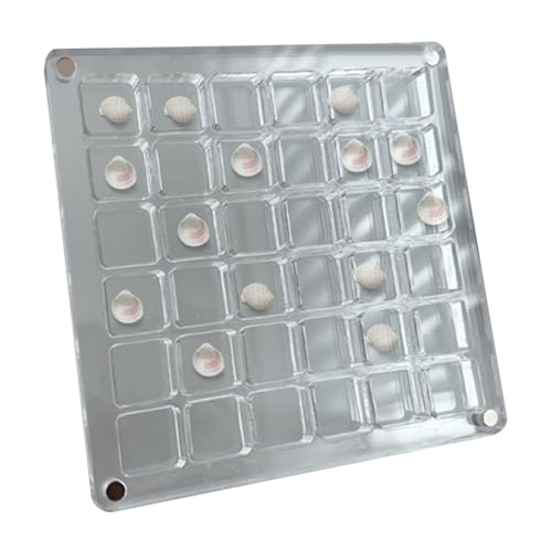 Muschelbox - Magnetische Transparente Display -Hülle Muscheln, Perle Edelsteinlagerorganisator | Wiederverwendbare Bastelbehälter Perlen, Edelsteine, Schmuckherstellung, Mini -Sammlerstücke, S von Generisch