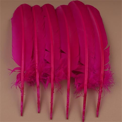 Natürliche Federn mit langem Schwanz, 30–35 cm, zum Basteln von dekorativen Tafelaufsätzen und Kleiderverzierungen, 10 Stück Natürliche Federn mit langem Schwanz, 30–35 cm, zum Basteln von dekorativen Tafelaufsätzen und Kleiderverzierungen, 10 Stück von Generisch
