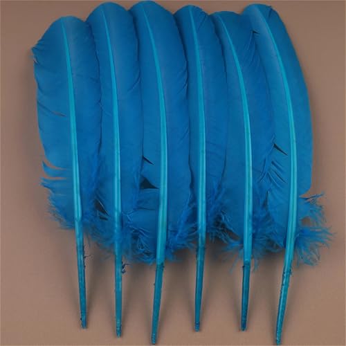 Natürliche Federn mit langem Schwanz, 30–35 cm, zum Basteln von dekorativen Tafelaufsätzen und Kleiderverzierungen, 10 Stück Natürliche Federn mit langem Schwanz, 30–35 cm, zum Basteln von dekorativen Tafelaufsätzen und Kleiderverzierungen, 10 Stück von Generisch
