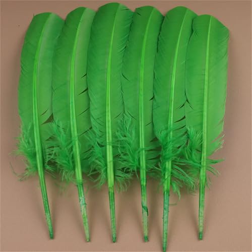 Natürliche Federn mit langem Schwanz, 30–35 cm, zum Basteln von dekorativen Tafelaufsätzen und Kleiderverzierungen, 10 Stück Natürliche Federn mit langem Schwanz, 30–35 cm, zum Basteln von dekorativen Tafelaufsätzen und Kleiderverzierungen, 10 Stück von Generisch