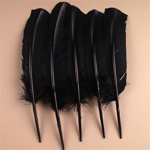 Natürliche Federn mit langem Schwanz, 30–35 cm, zum Basteln von dekorativen Tafelaufsätzen und Kleiderverzierungen, 10 Stück Natürliche Federn mit langem Schwanz, 30–35 cm, zum Basteln von dekorativen Tafelaufsätzen und Kleiderverzierungen, 10 Stück von Generisch