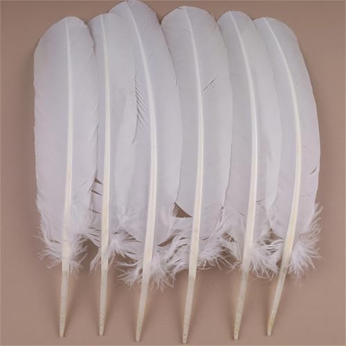 Natürliche Federn mit langem Schwanz, 30–35 cm, zum Basteln von dekorativen Tafelaufsätzen und Kleiderverzierungen, 10 Stück Natürliche Federn mit langem Schwanz, 30–35 cm, zum Basteln von dekorativen Tafelaufsätzen und Kleiderverzierungen, 10 Stück von Generisch