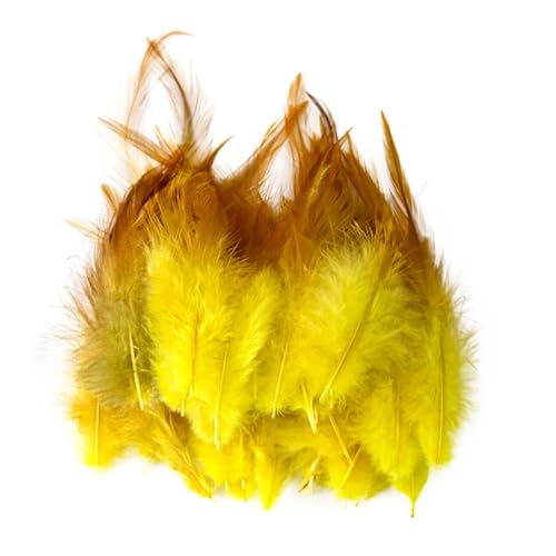 Natürliche Hahnenfedern zum Basteln, 10-15 cm, Hühnerfedern, Schmuck, Ohrringe, Dekoration, Zubehör, Gelb, 100 Stück Natürliche Hahnenfedern zum Basteln, 10-15 cm, Hühnerfedern, Schmuck, Ohrringe, Dekoration, Zubehör, Gelb, 100 Stück von Generisch