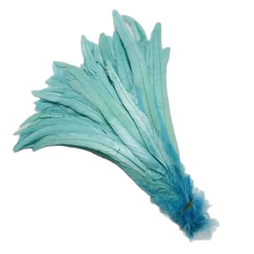 Natürliche Hahnenschwanzfedern, 25–45 cm, DIY, Kleidung, Schmuck, Dekoration, Party, Wasserblau, 25–30 cm, 100 Stück Natürliche Hahnenschwanzfedern, 25–45 cm, DIY, Kleidung, Schmuck, Dekoration, Party, Wasserblau, 25–30 cm, 100 Stück von Generisch