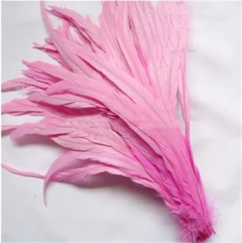 Natürliche Hahnschwanzfedern, 100 Stück/Packung, 25–45 cm, DIY, Kleidung, Schmuck, Dekoration, Party, Pnnrk, 35–40 cm von Generisch