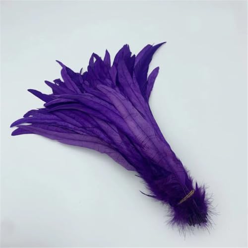 Natürliche Hahnschwanzfedern, 25–45 cm, 100 Stück Federn für Kostüm, DIY, Basteln, Zuhause, Hochzeitsdekoration, Lila, 30–35 cm Natürliche Hahnschwanzfedern, 25–45 cm, 100 Stück Federn für Kostüm, DIY, Basteln, Zuhause, Hochzeitsdekoration, Lila, 30–35 cm von Generisch