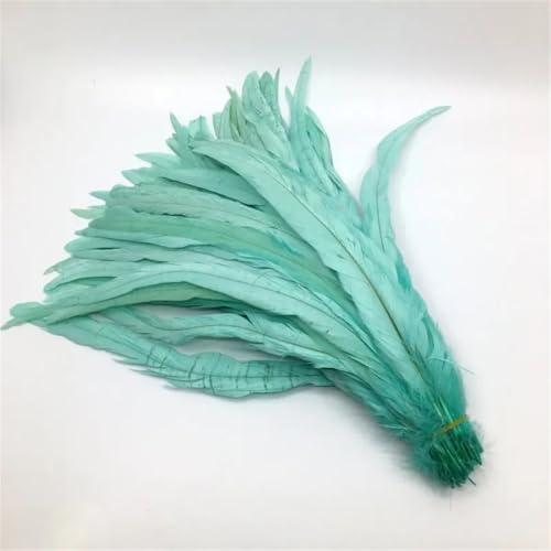 Natürliche Hahnschwanzfedern, 25–45 cm, 100 Stück Federn für Kostüm, DIY, Basteln, Zuhause, Hochzeitsdekoration, Minze, EN8, 40–45 cm Natürliche Hahnschwanzfedern, 25–45 cm, 100 Stück Federn für Kostüm, DIY, Basteln, Zuhause, Hochzeitsdekoration, Minze, EN8, 40–45 cm von Generisch