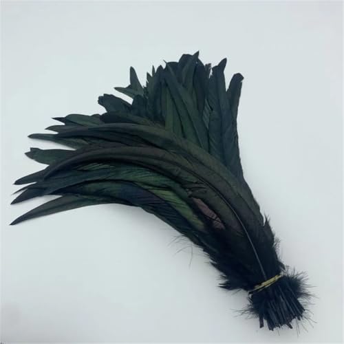 Natürliche Hahnschwanzfedern, 25–45 cm, 100 Stück Federn für Kostüm, DIY, Basteln, Zuhause, Hochzeitsdekoration, Schwarz, 30–35 cm Natürliche Hahnschwanzfedern, 25–45 cm, 100 Stück Federn für Kostüm, DIY, Basteln, Zuhause, Hochzeitsdekoration, Schwarz, 30–35 cm von Generisch