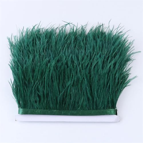 Natürliche Straußenfeder-Bordüre, 8–10 cm, für Hochzeit, Party, Nähen, Kleid, Dekoration, Zubehör, Basteln, dunkel EN8 Natürliche Straußenfeder-Bordüre, 8–10 cm, für Hochzeit, Party, Nähen, Kleid, Dekoration, Zubehör, Basteln, dunkel EN8 von Generisch