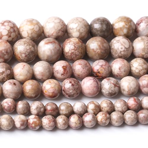 Natürliche Weizen-Spar-Perlen, Edelstein, runde Kristall-Energie für Schmuckherstellung, DIY-Armband, Halskette, 1 Strang, 39,4 cm, 35 Stück, 10 mm Natürliche Weizen-Spar-Perlen, Edelstein, runde Kristall-Energie für Schmuckherstellung, DIY-Armband, Halskette, 1 Strang, 39,4 cm, 35 Stück, 10 mm von Generisch