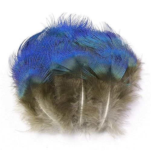 Natürliche blaue, schillernde Körperfedern, 3–7 cm, für Schmuckherstellung, Handarbeiten und Bastelzubehör für Traumfänger, DIY Natürliche blaue, schillernde Körperfedern, 3–7 cm, für Schmuckherstellung, Handarbeiten und Bastelzubehör für Traumfänger, DIY von Generisch