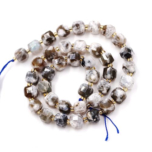 Natürliche facettierte Steinperlen zur Schmuckherstellung, verkauft pro Beutel, 5 Stränge innen, Würfel, Labradorit, A, 8 mm, Eu9-k9229 Natürliche facettierte Steinperlen zur Schmuckherstellung, verkauft pro Beutel, 5 Stränge innen, Würfel, Labradorit, A, 8 mm, Eu9-k9229 von Generisch
