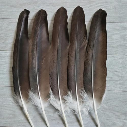 Natürliche gemusterte Federn, 10–15 cm, für DIY-Schmuckherstellung, Handwerk und Traumfänger, Bastelzubehör, 20 Stück Natürliche gemusterte Federn, 10–15 cm, für DIY-Schmuckherstellung, Handwerk und Traumfänger, Bastelzubehör, 20 Stück von Generisch