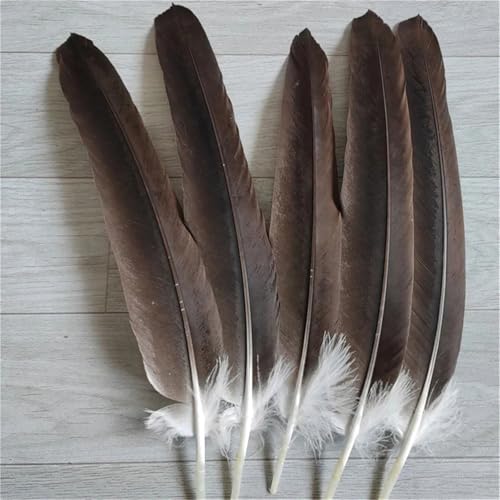 Natürliche gemusterte Federn, 10–15 cm, für DIY-Schmuckherstellung, Handwerk und Traumfänger, Bastelzubehör, 20 Stück Natürliche gemusterte Federn, 10–15 cm, für DIY-Schmuckherstellung, Handwerk und Traumfänger, Bastelzubehör, 20 Stück von Generisch