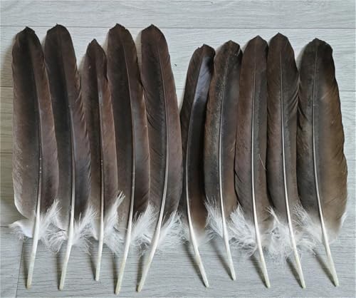Natürliche gemusterte Federn, 10–15 cm, für DIY-Schmuckherstellung, Handwerk und Traumfänger, Bastelzubehör, 20 Stück Natürliche gemusterte Federn, 10–15 cm, für DIY-Schmuckherstellung, Handwerk und Traumfänger, Bastelzubehör, 20 Stück von Generisch