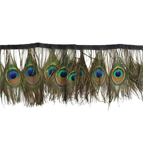 Natürlicher schillernder Federbesatz mit Auge und Seidenrauch auf Klebeband, ein Fransenband zum Nähen von Fliegen und Kleidungsdekoration Natürlicher schillernder Federbesatz mit Auge und Seidenrauch auf Klebeband, ein Fransenband zum Nähen von Fliegen und Kleidungsdekoration von Generisch