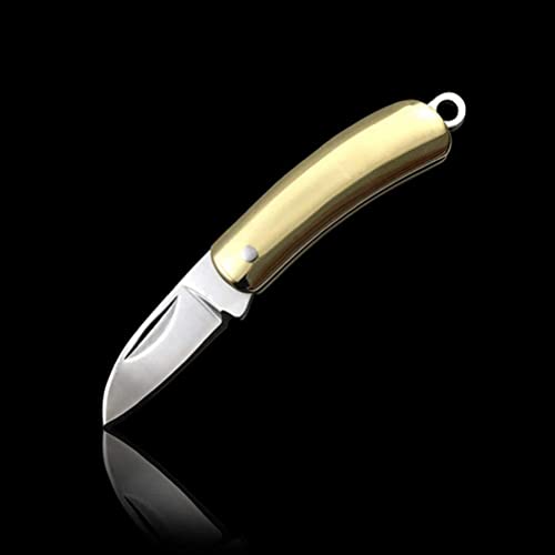 Generisch Outdoor Mini Messer Camping Faltmesser Taschenmesser klein Schlüsselanhänger für Überlebens Camping von Generisch
