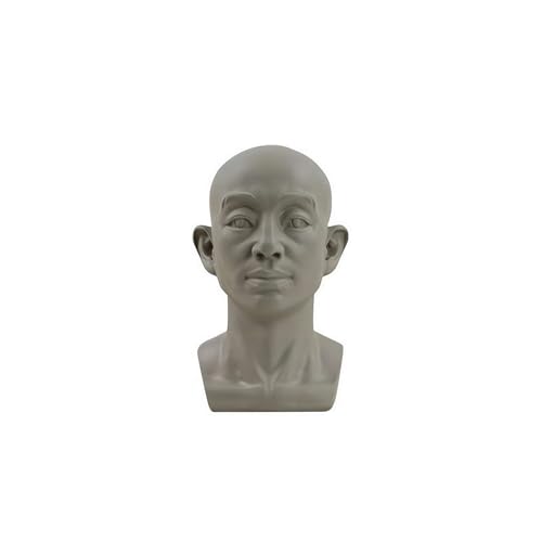 Planarkopfmodell für Künstler lernen Ebenen des Gesichts, Standard-Planarkopf, männliches Kopfmodell, menschliches Manikin-Kopfmodell für Künstler, Zeichnen, Skecthing, Malerei Planarkopfmodell für Künstler lernen Ebenen des Gesichts, Standard-Planarkopf, männliches Kopfmodell, menschliches Manikin-Kopfmodell für Künstler, Zeichnen, Skecthing, Malerei von Generisch